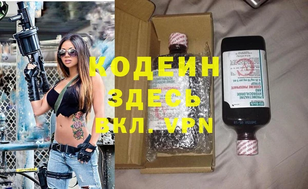 стаф Арсеньев