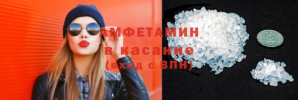 стаф Арсеньев