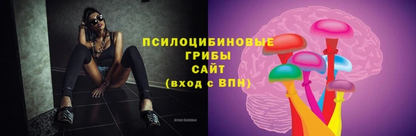 стаф Арсеньев