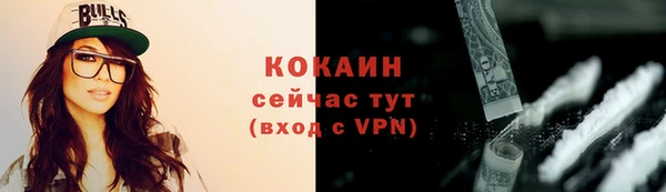 стаф Арсеньев